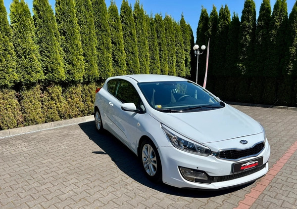 Kia Ceed cena 25900 przebieg: 216281, rok produkcji 2013 z Recz małe 704